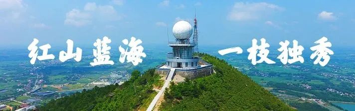 活力潮涌皖江，景致时新文旅——‌安庆市文化和旅游产业协会正式成立！(图1)